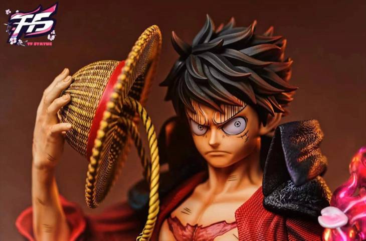 TF - Luffy - Image 6
