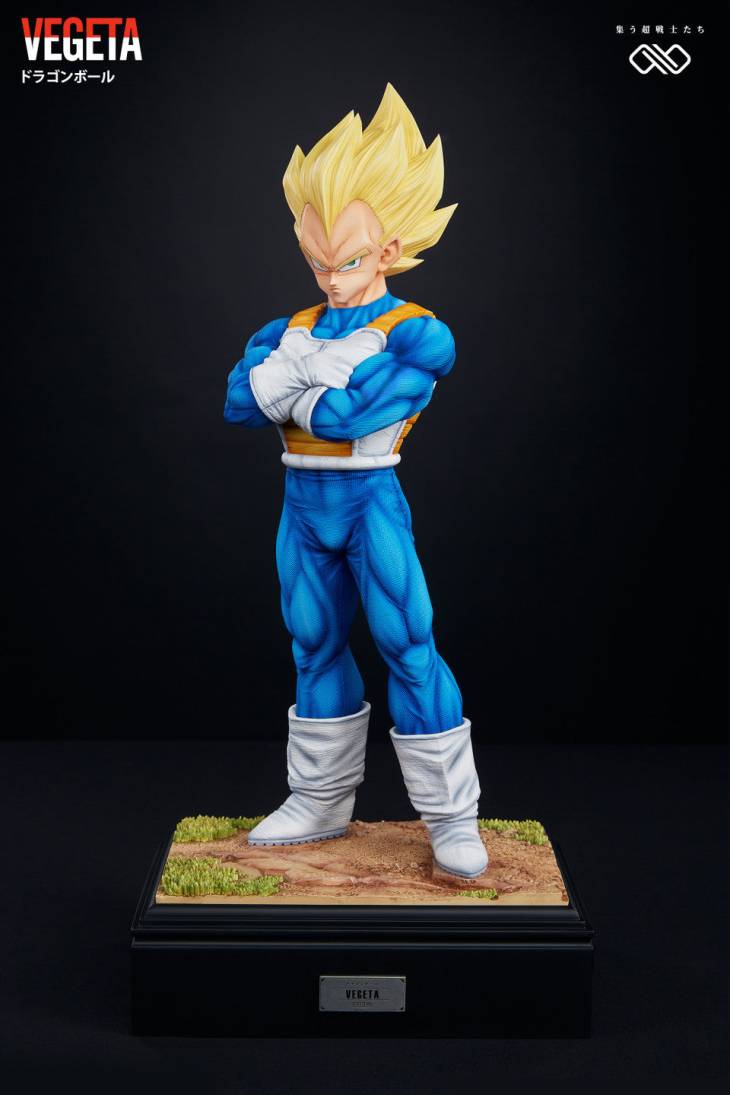 Infinite - Vegeta - Image 3