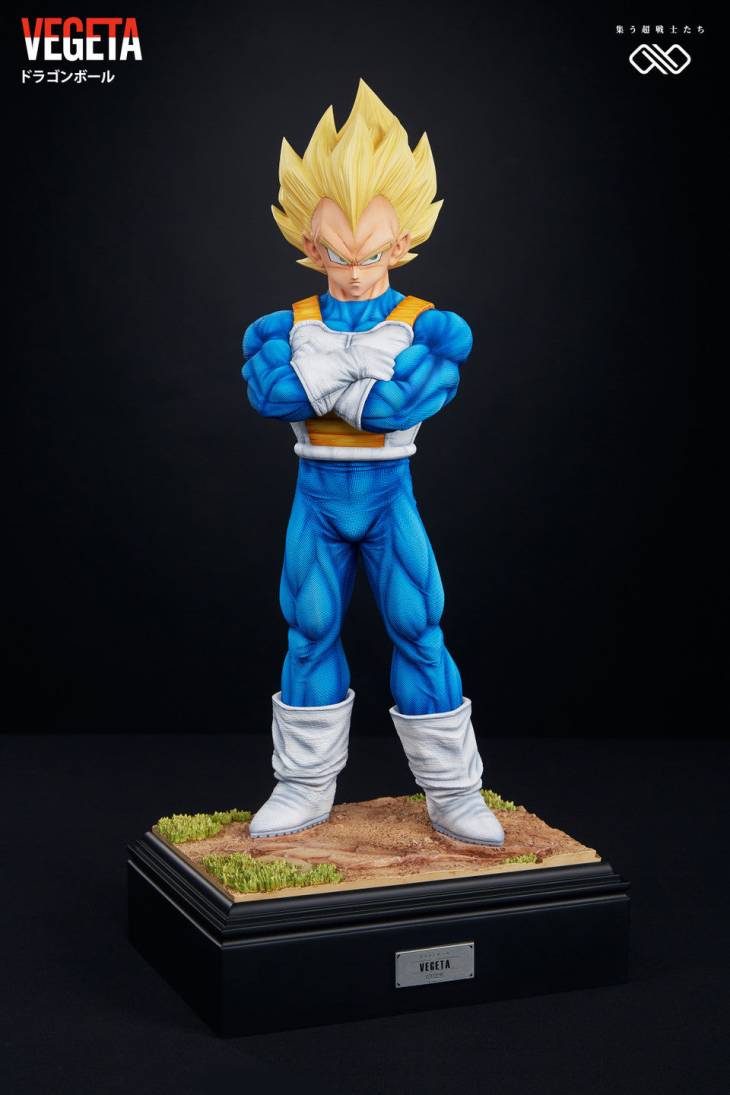 Infinite - Vegeta - Image 7