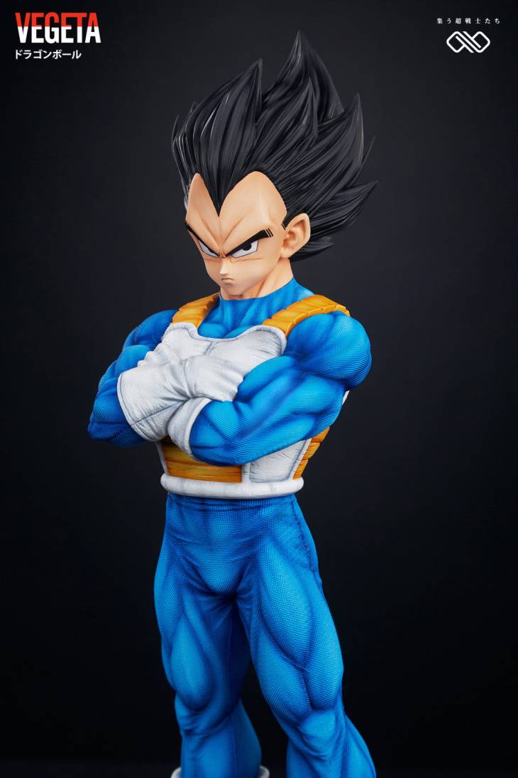 Infinite - Vegeta - Image 4