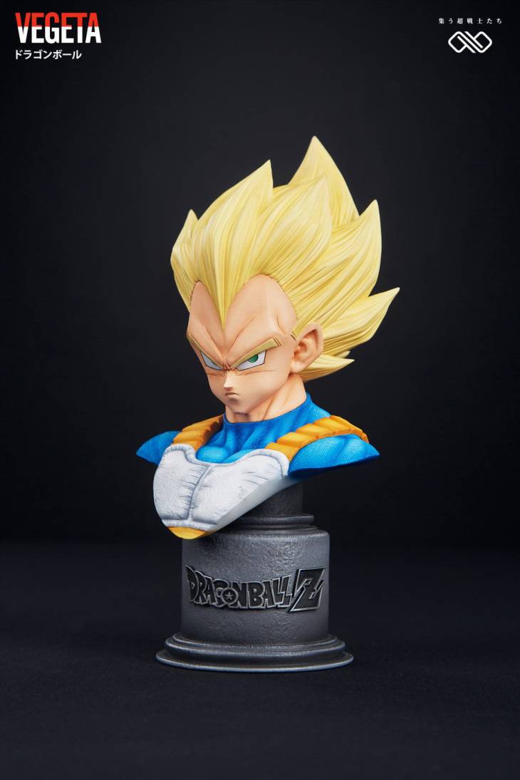 Infinite - Vegeta - Image 12