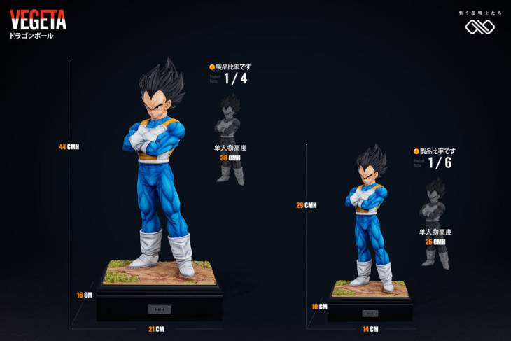 Infinite - Vegeta - Image 13