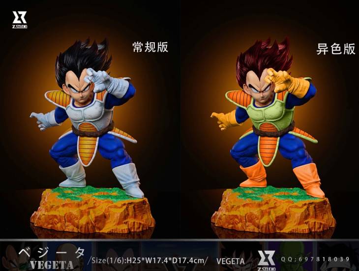 Z - Vegeta - Image 4