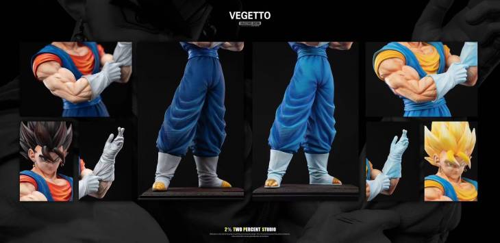 2% - Vegito and Gogeta - Image 11