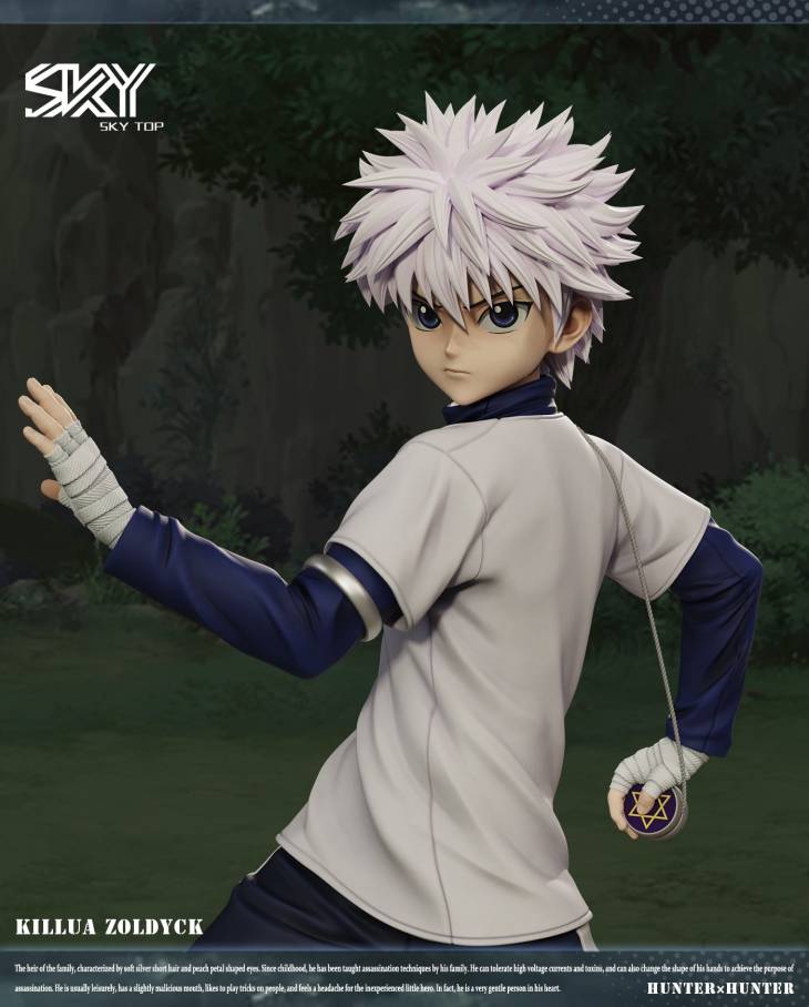 Sky Top - Killua - Image 3