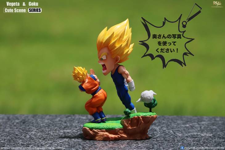 Real Creation - SSJ Goku and Vegeta - Image 7