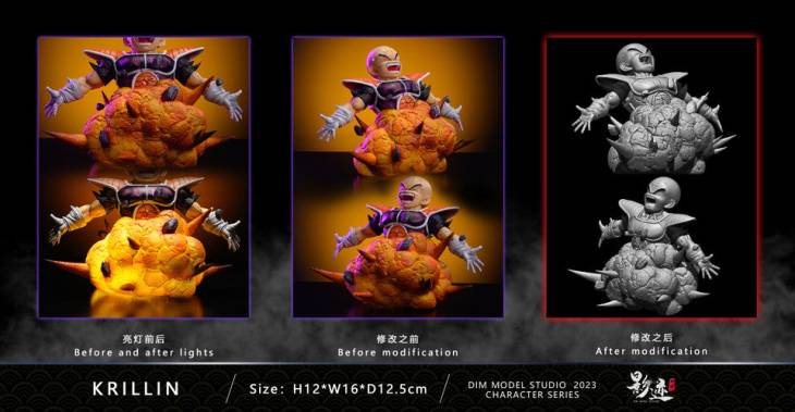 DIM - Goku - Image 10