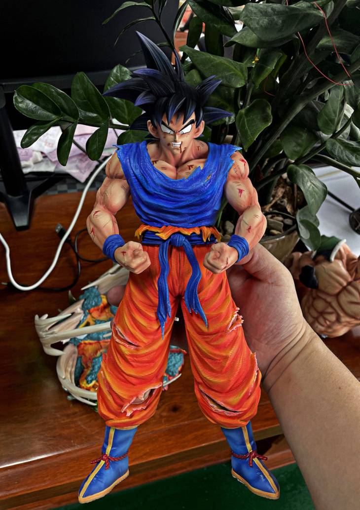 DIM - Goku - Image 6