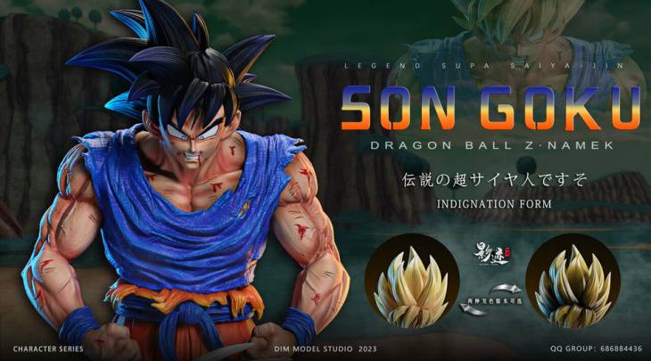 DIM - Goku - Image 9
