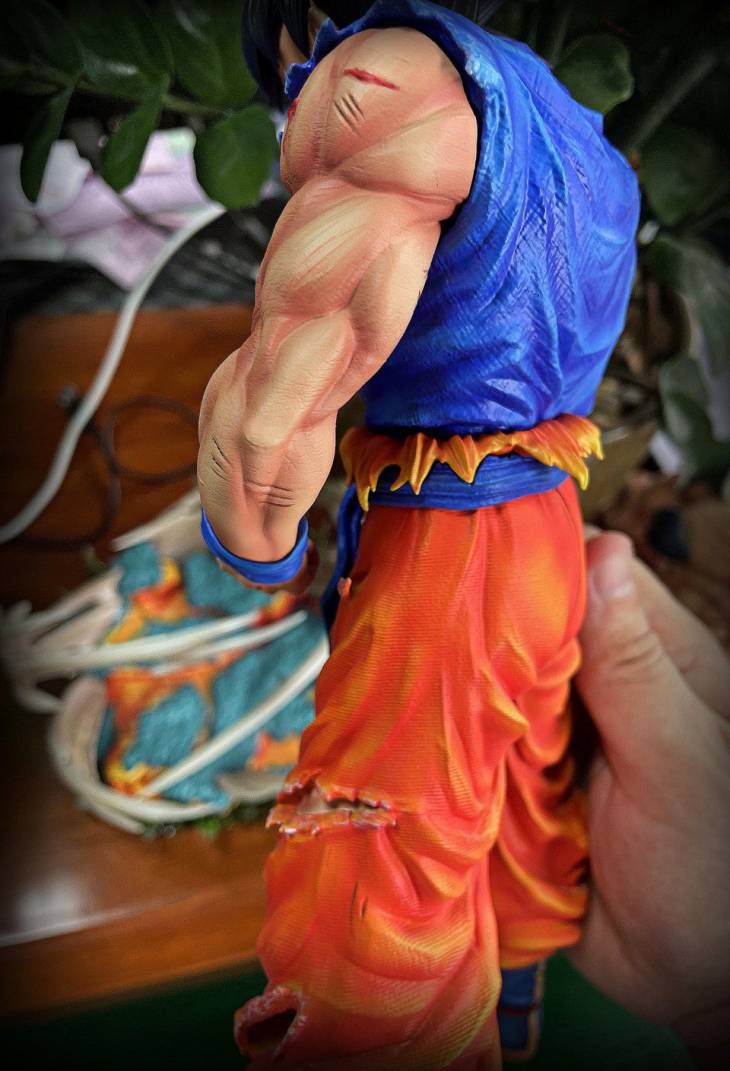 DIM - Goku - Image 7