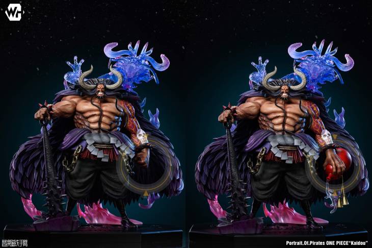 WH - Kaido - Image 8