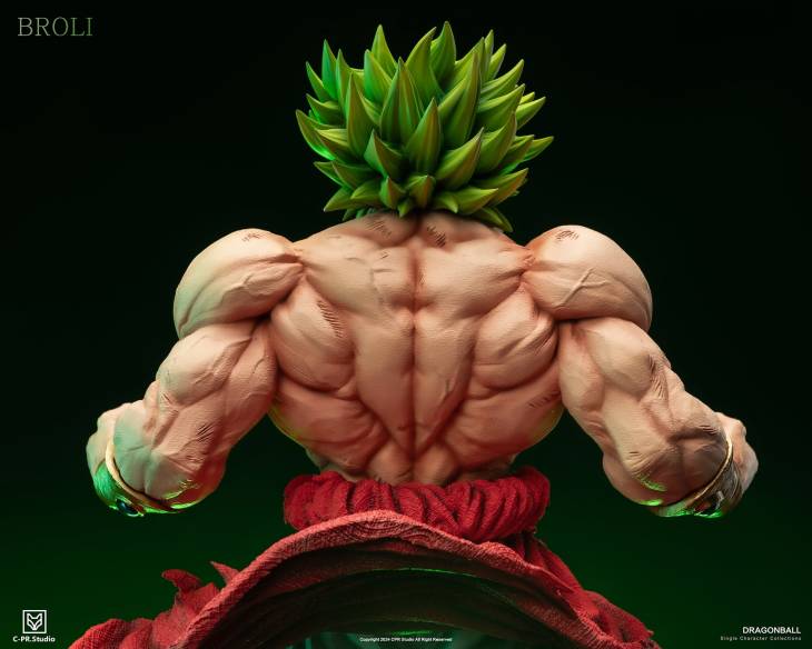 CPR - Broly - Image 8