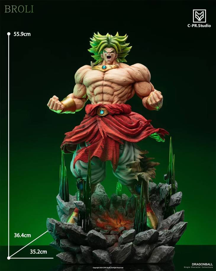 CPR - Broly - Image 7