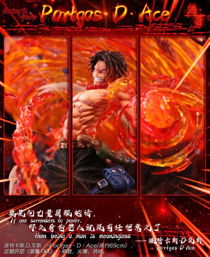 Monkey D - Ace - Image 4