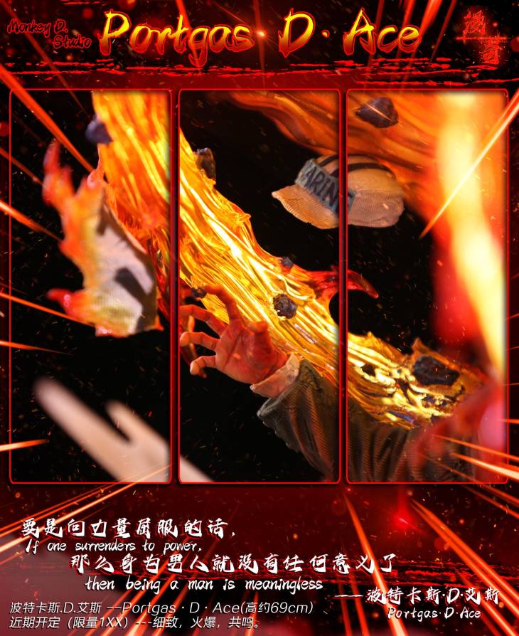 Monkey D - Ace - Image 7