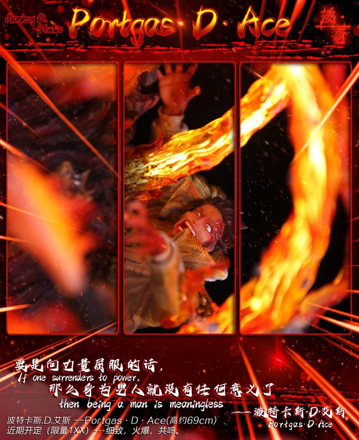Monkey D - Ace - Image 9