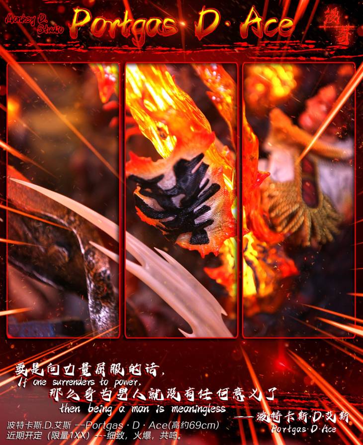 Monkey D - Ace - Image 10
