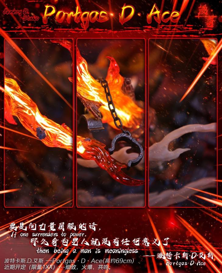 Monkey D - Ace - Image 14