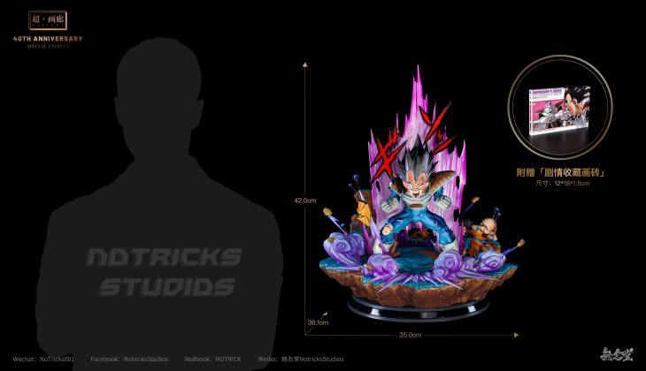 NoTricks - Vegeta - Image 5