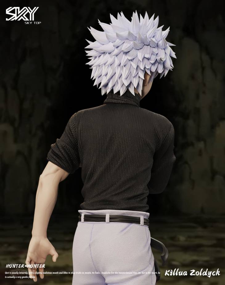 Sky Top - Killua - Image 6