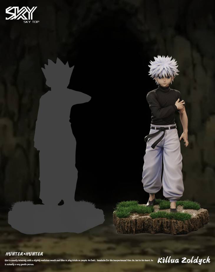 Sky Top - Killua - Image 10