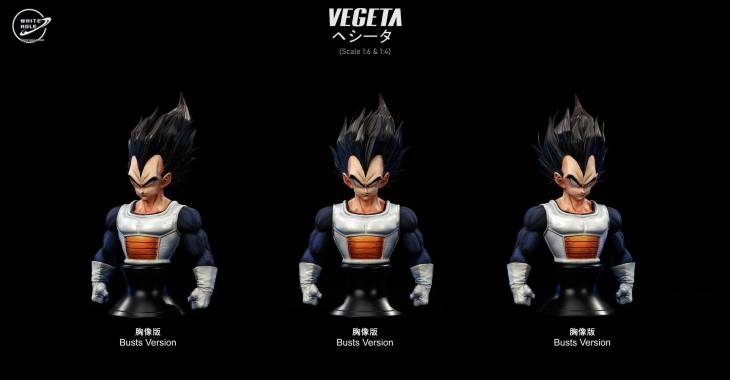 White Hole - Vegeta StatueCorp