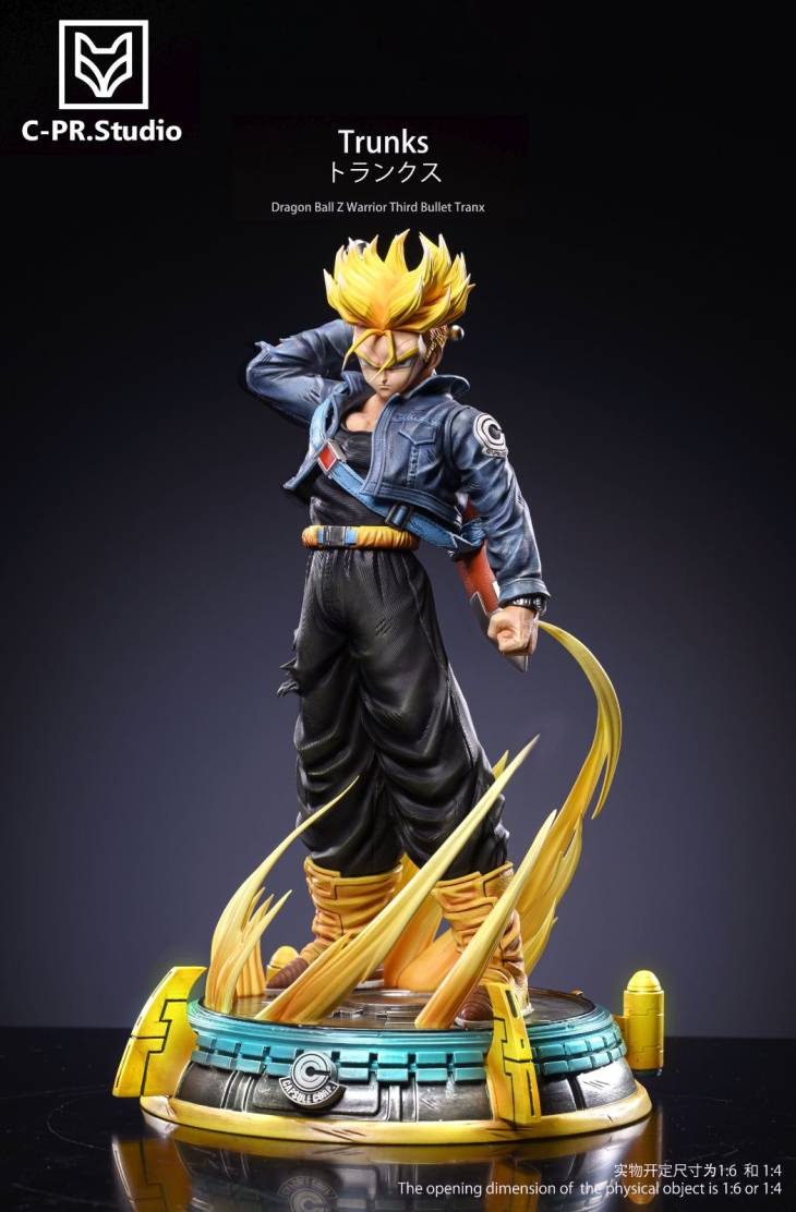 CPR - Trunks - Image 3
