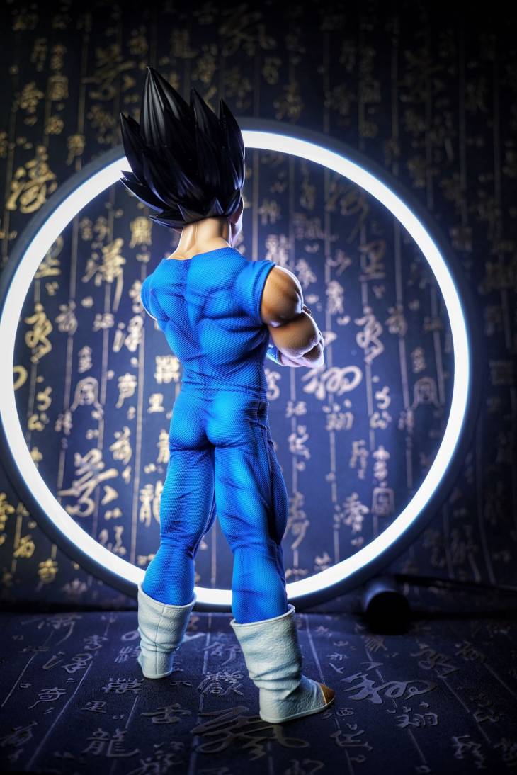 Sky Top - Vegeta - Image 6