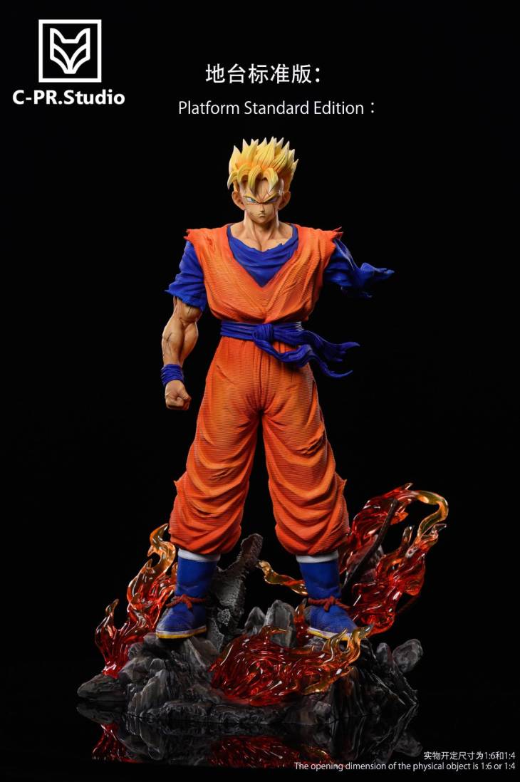 CPR - Future Gohan - Image 13
