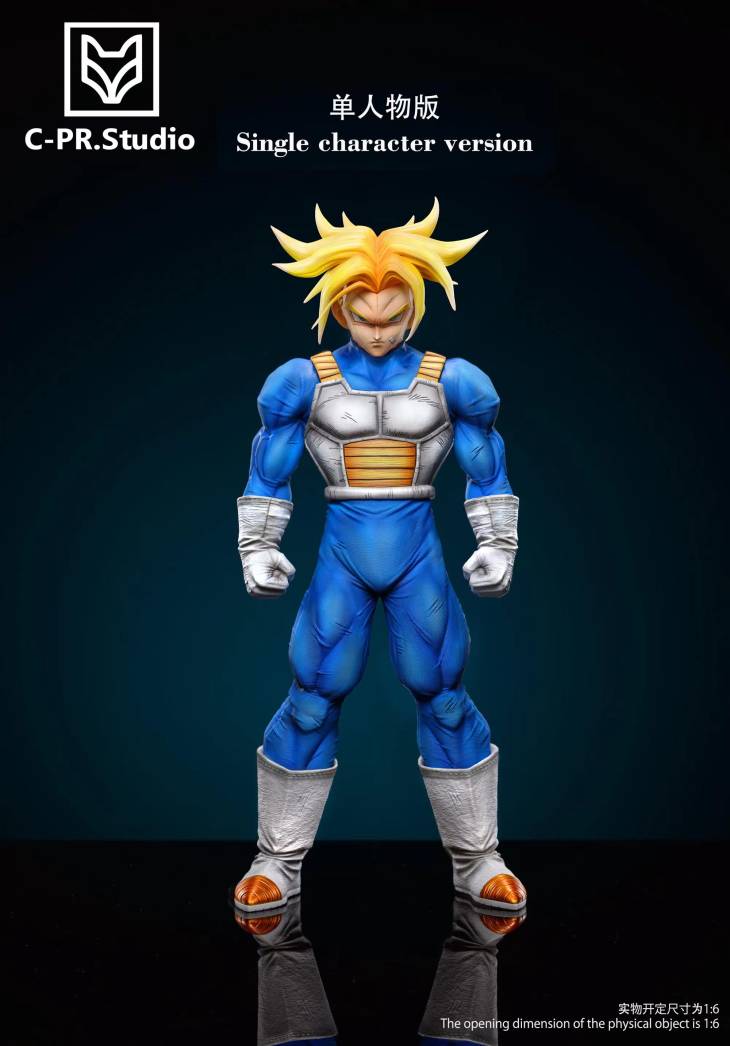 CPR - Trunks - Image 4