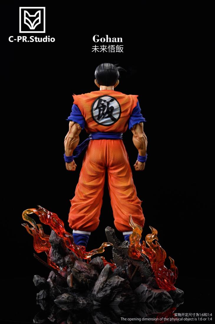 CPR - Future Gohan - Image 14