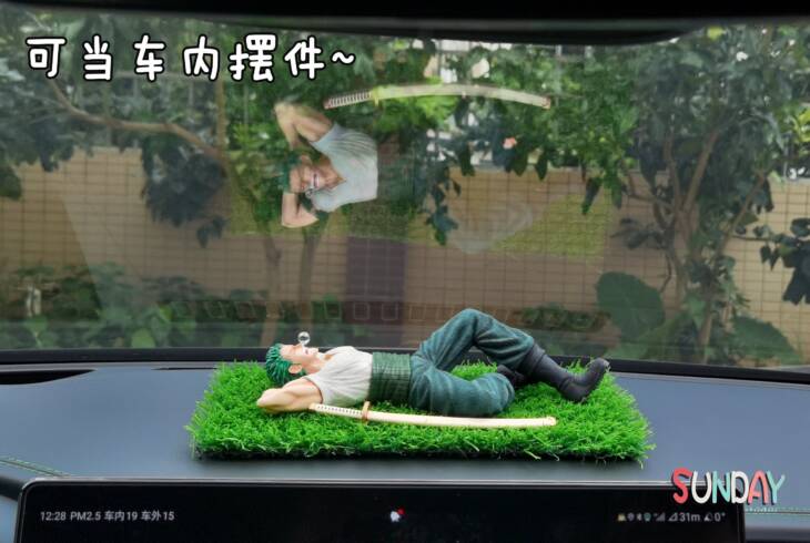 Sunday - Zoro - Image 8