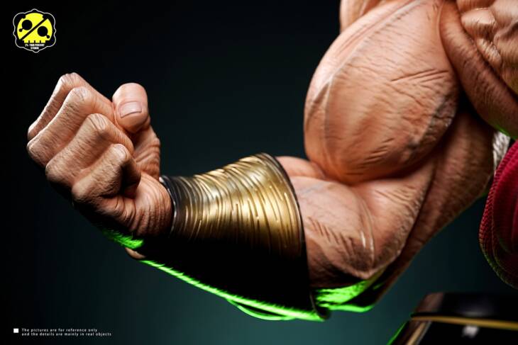 2% - Broly - Image 6